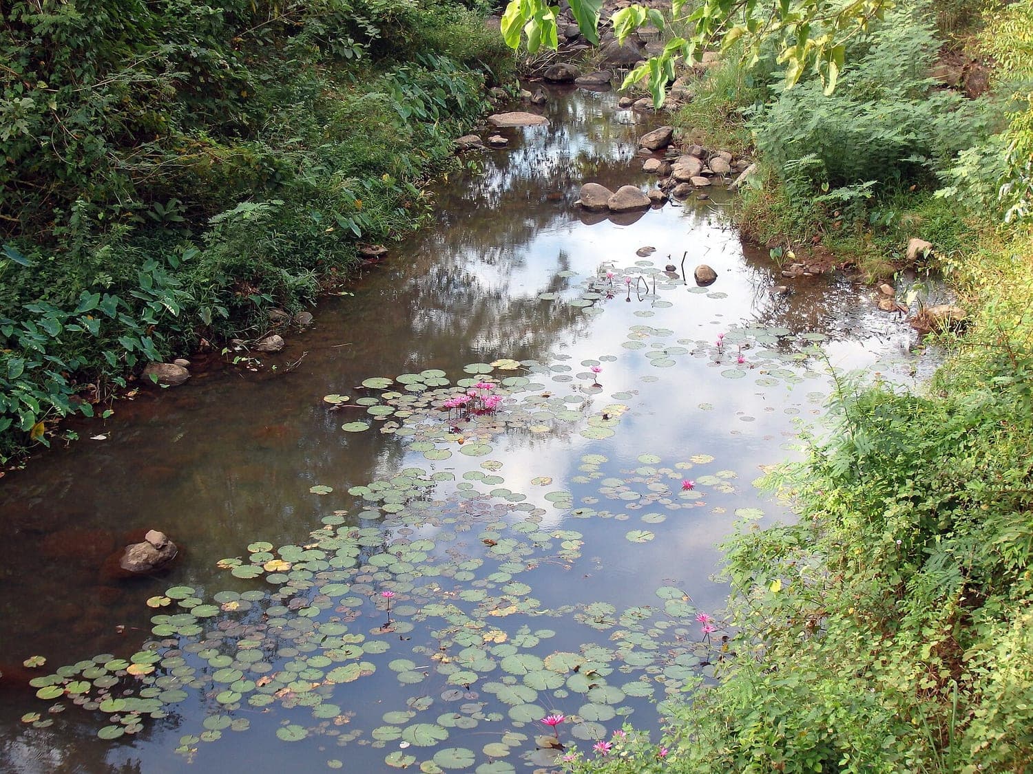 อุทยานแห่งชาติเขาใหญ่