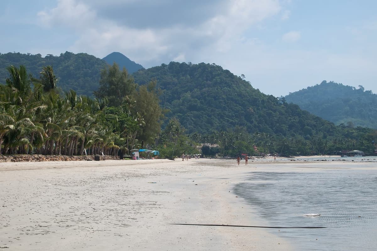 หาดทรายและแนวมะพร้าวบนเกาะช้าง จังหวัดตราด