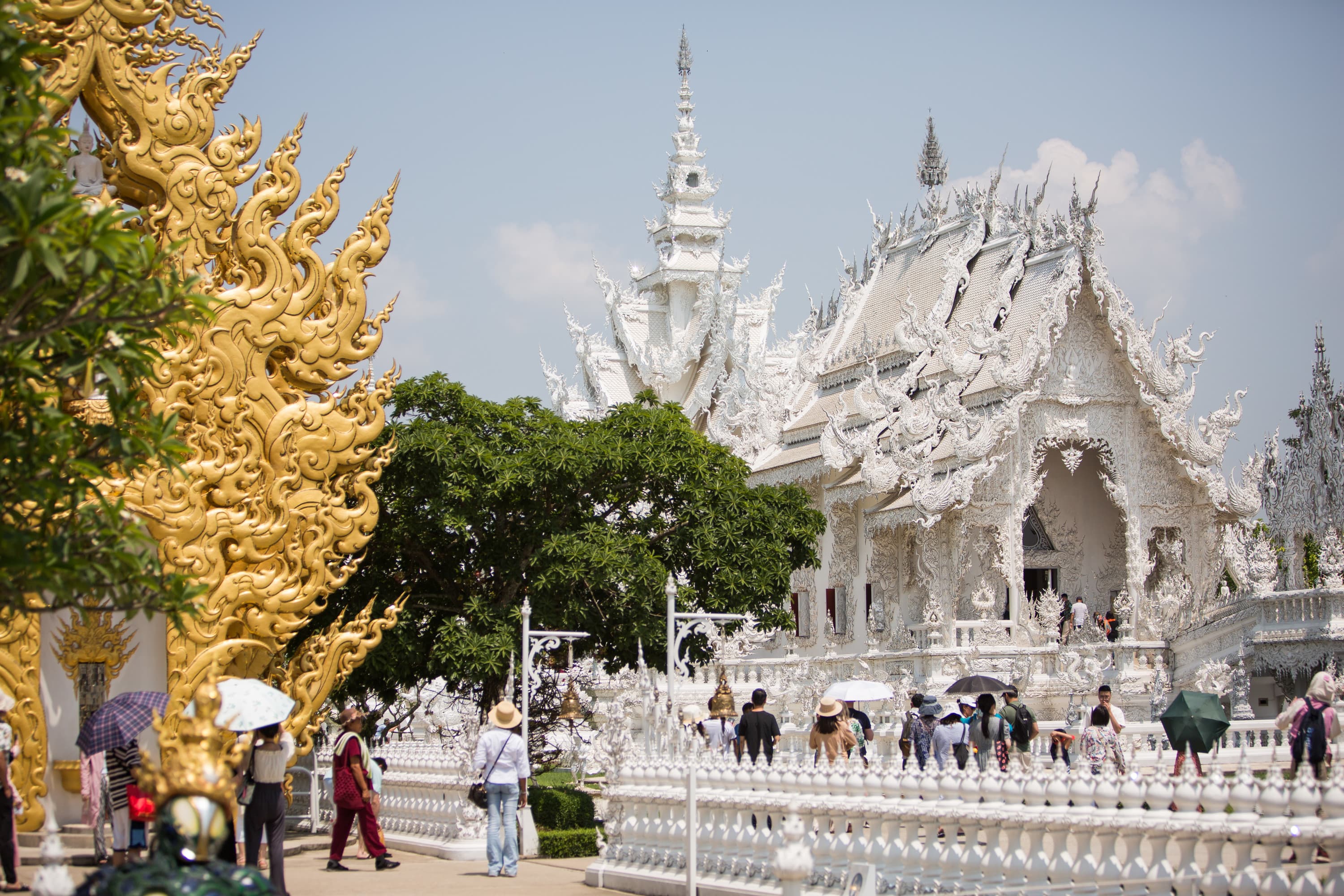 ทัวร์วัดร่องขุ่น + วัดร่องเสือเต้น + บ้านดำ